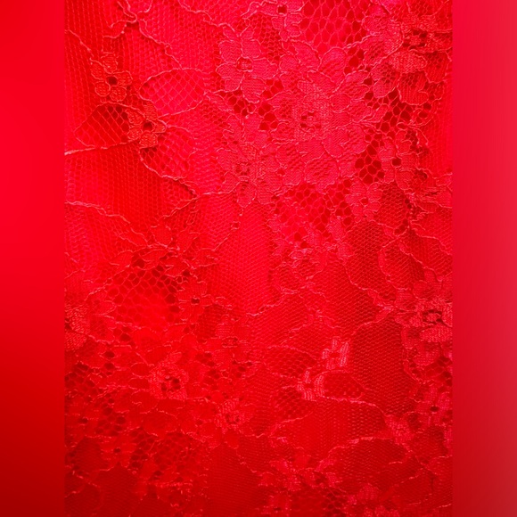 Joe’s Jeans Esme Lace Cocktail Party Dress with cap sleeves size XS - Picture 5 of 9